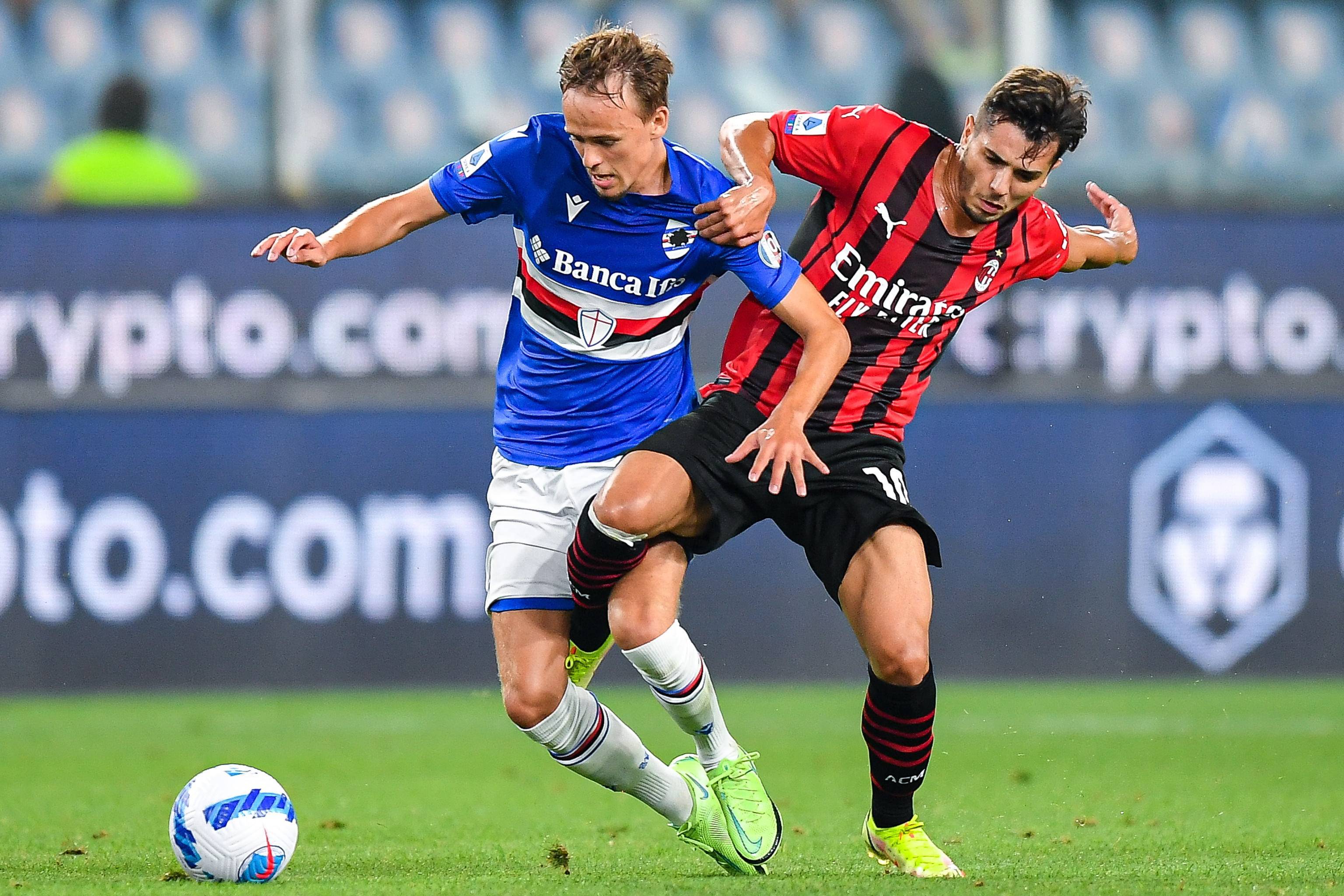 仅仅是体力 仅仅是体力