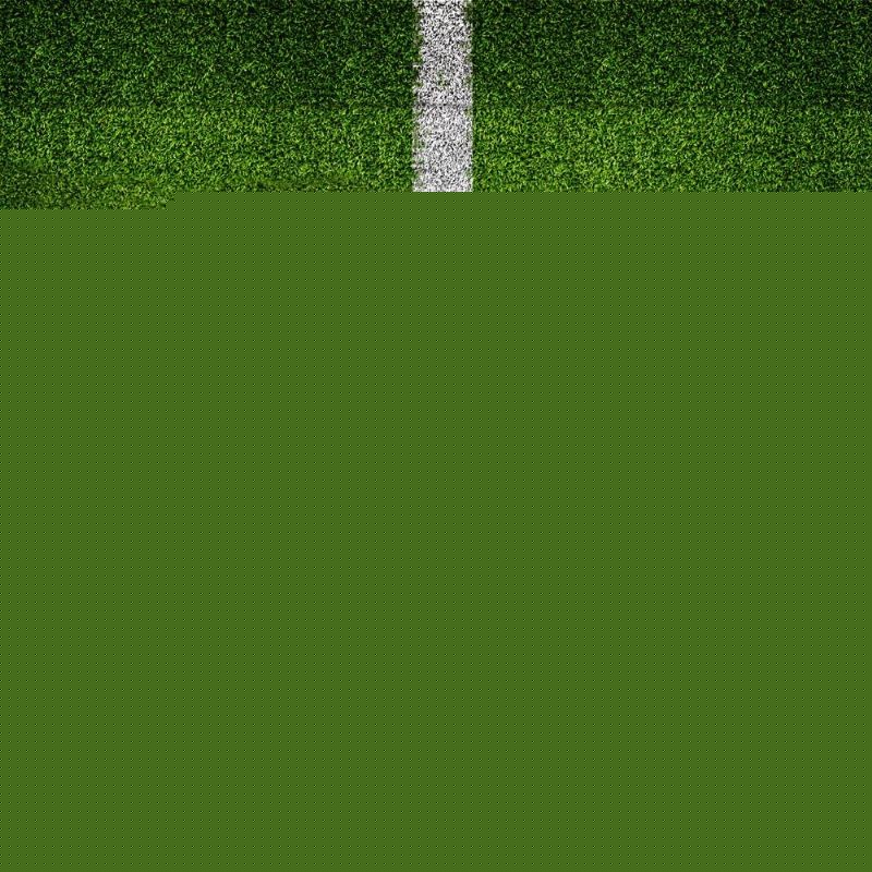 的射门尝试 的射门尝试