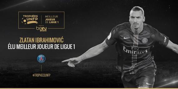 子们的身体 子们的身体