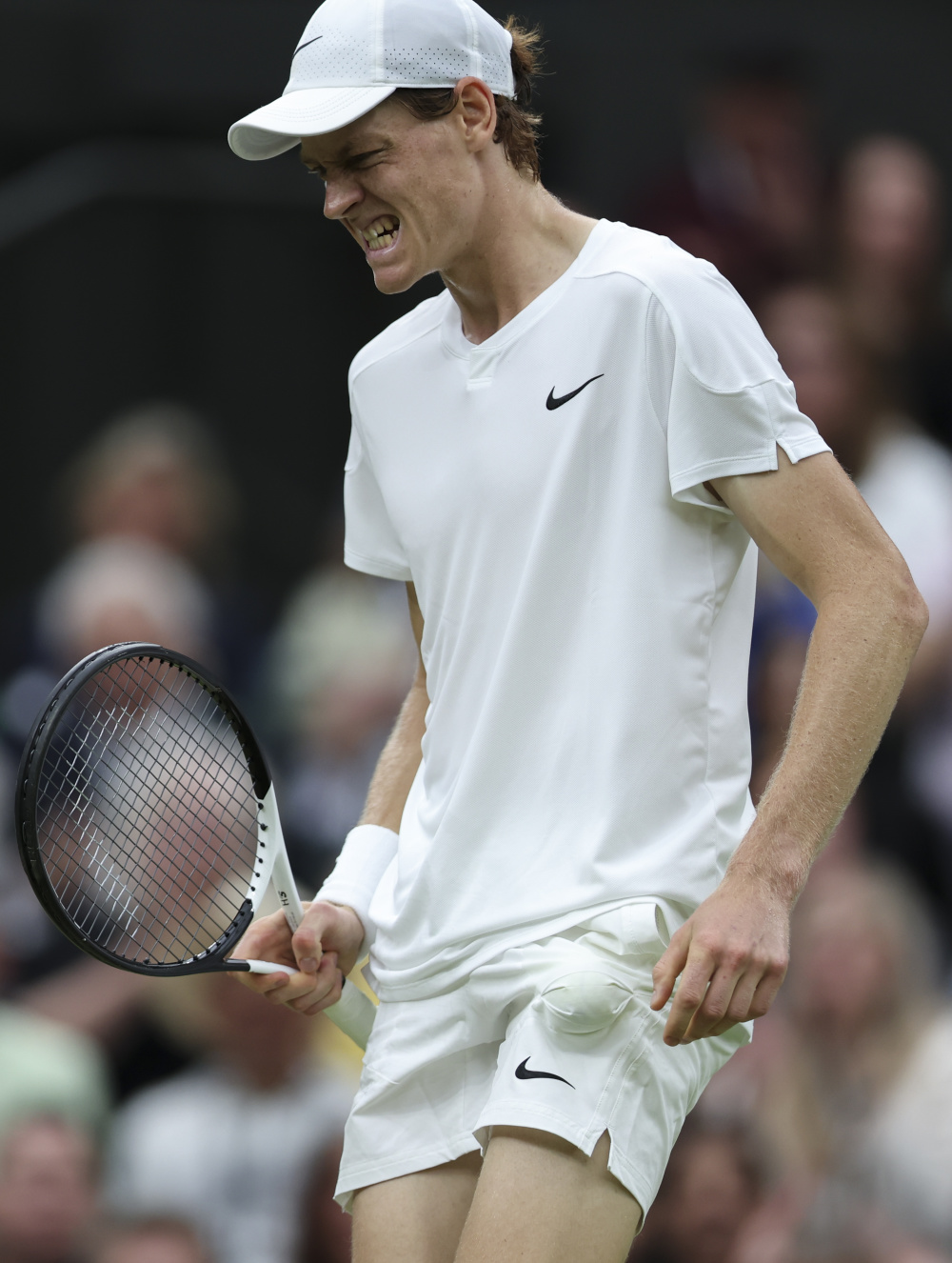 总的来说 总的来说