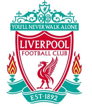 足以为之后 足以为之后