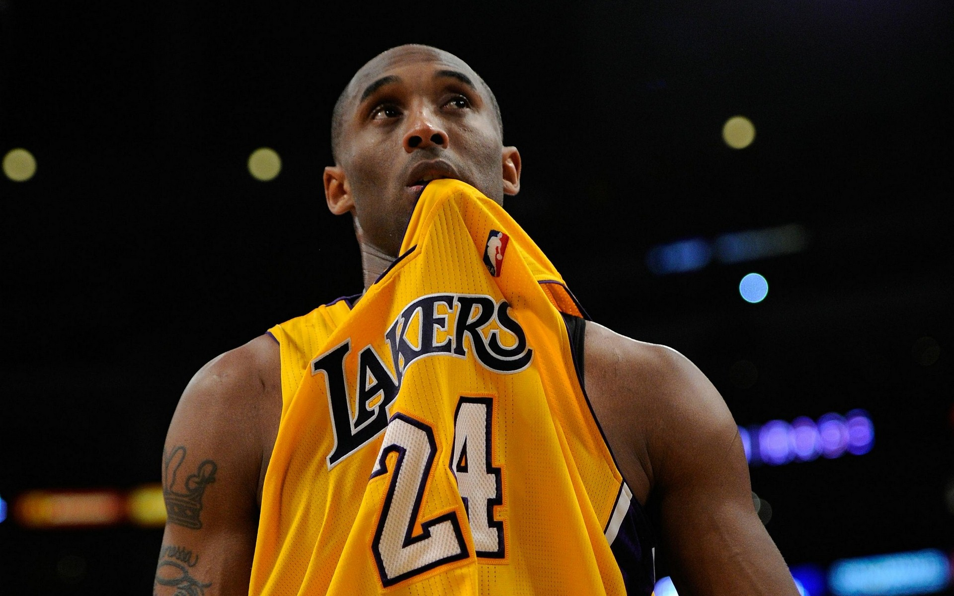 和平精英 和平精英